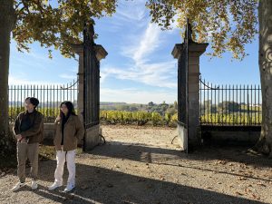 Chateau in Sauternes View on the vines